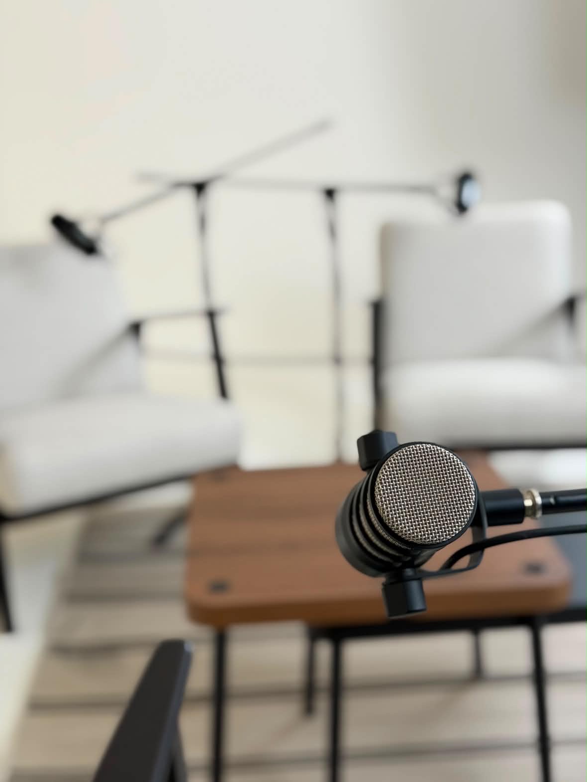Microphone detail
